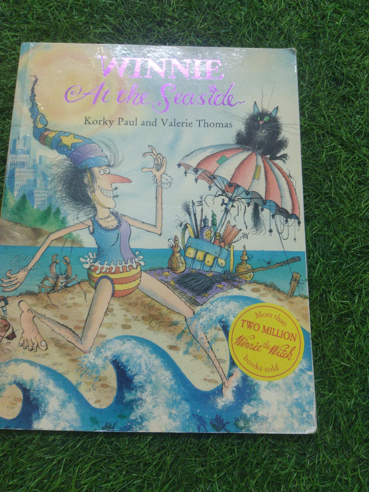 Winnie At the Seaside