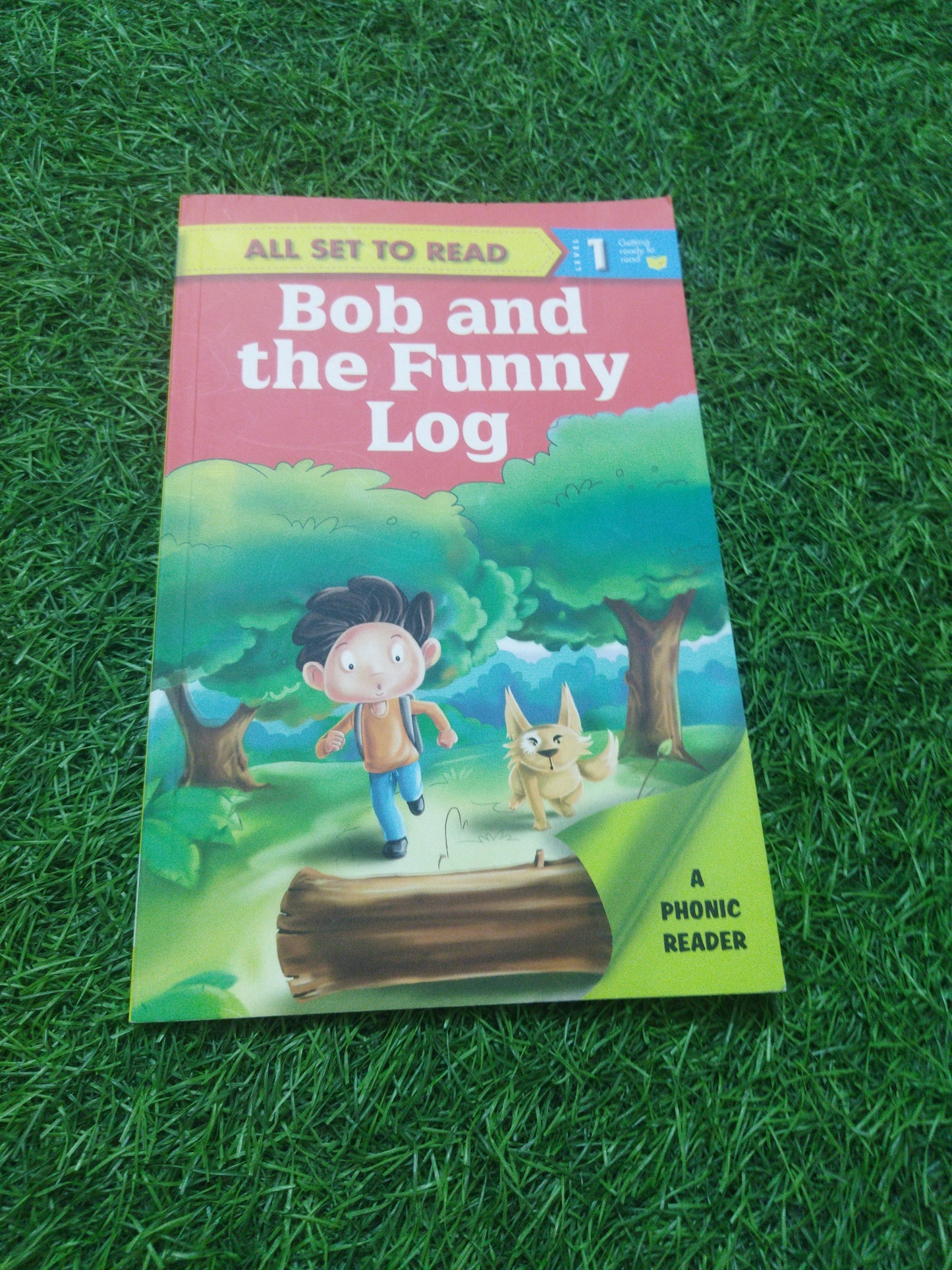 All set to read Bob and the Funny Log