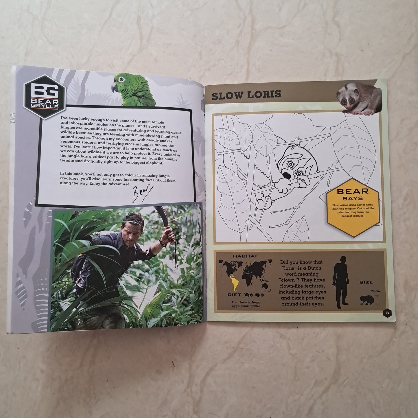 In The Jungle Colouring Book