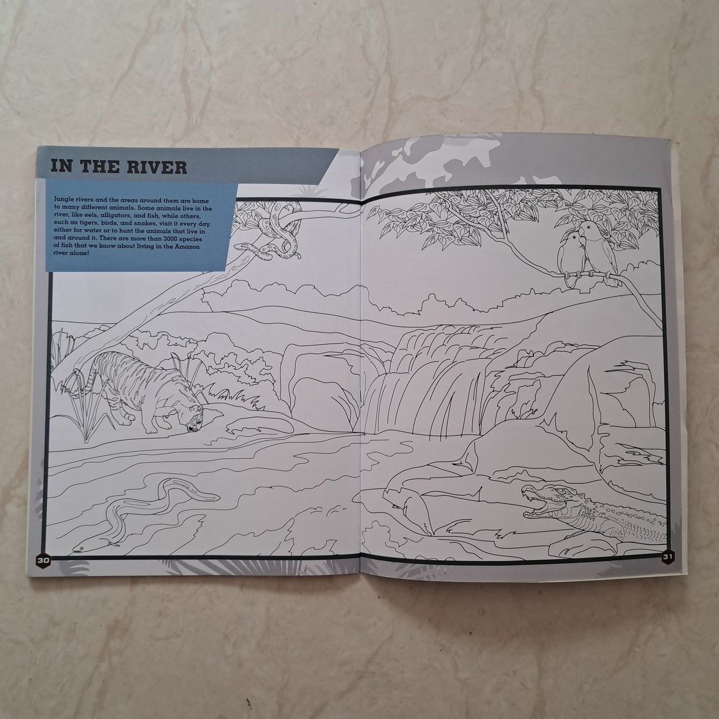 In The Jungle Colouring Book