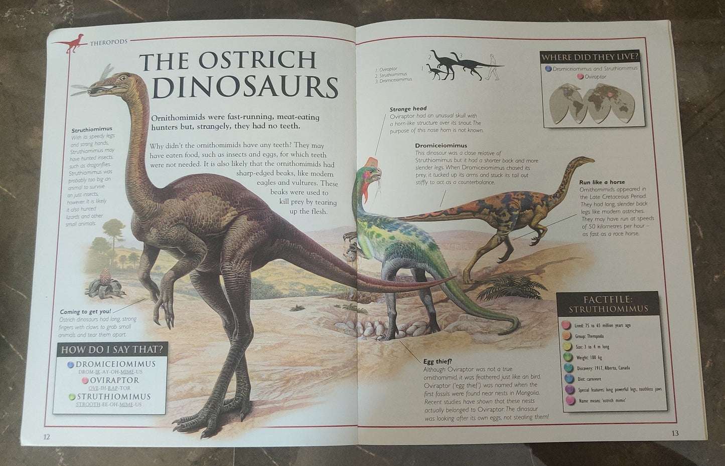 Discovering Dinosaurs Small & Scary | Paperback