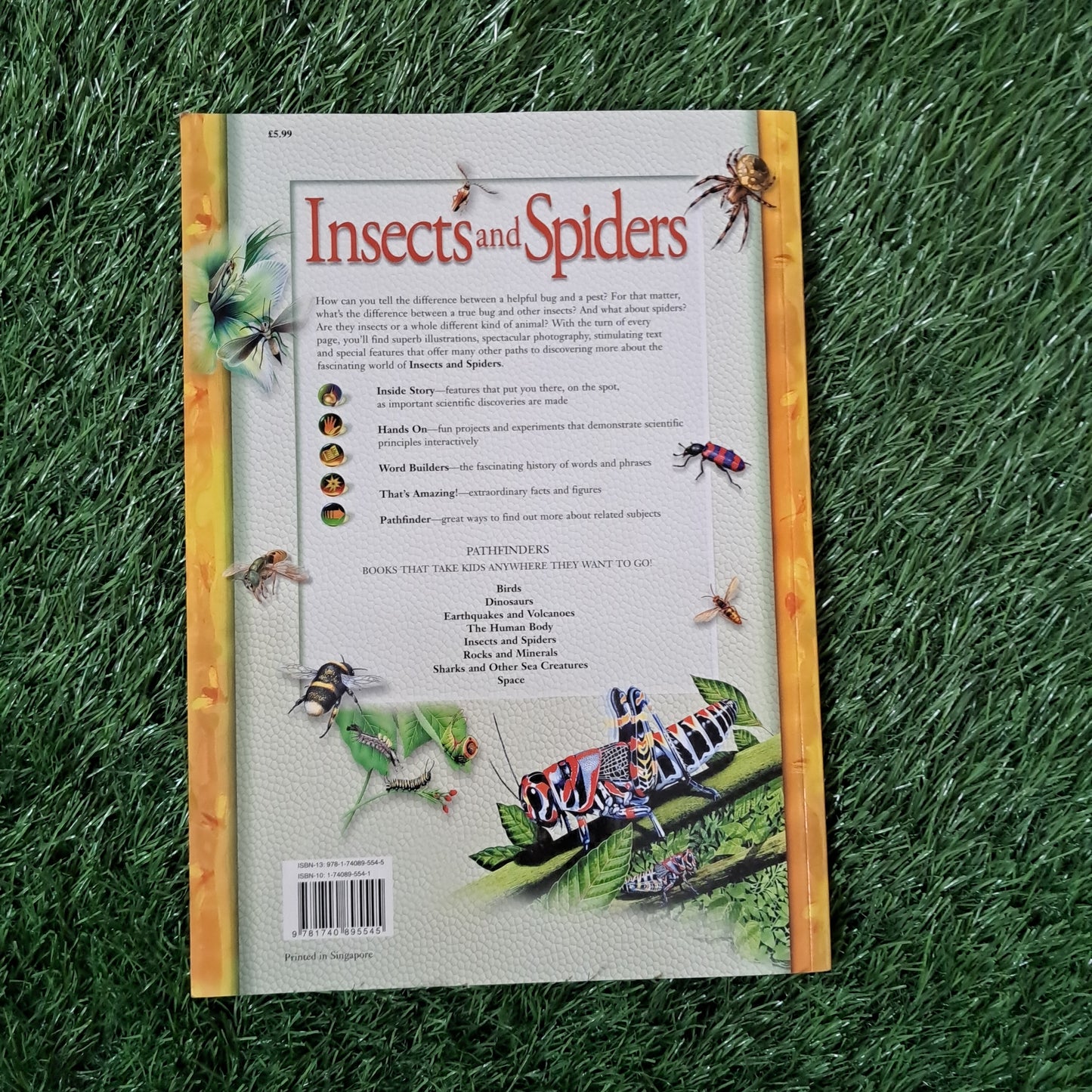 Insects and Spider
