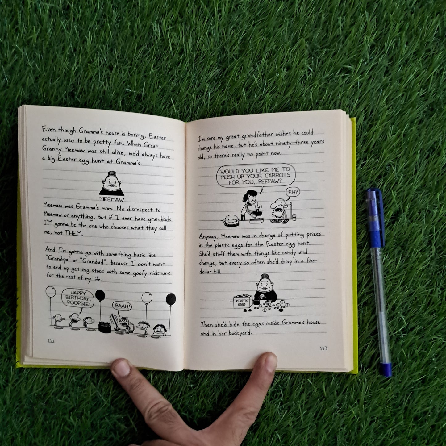 DIARY of a Wimpy Kid HARD LUCK