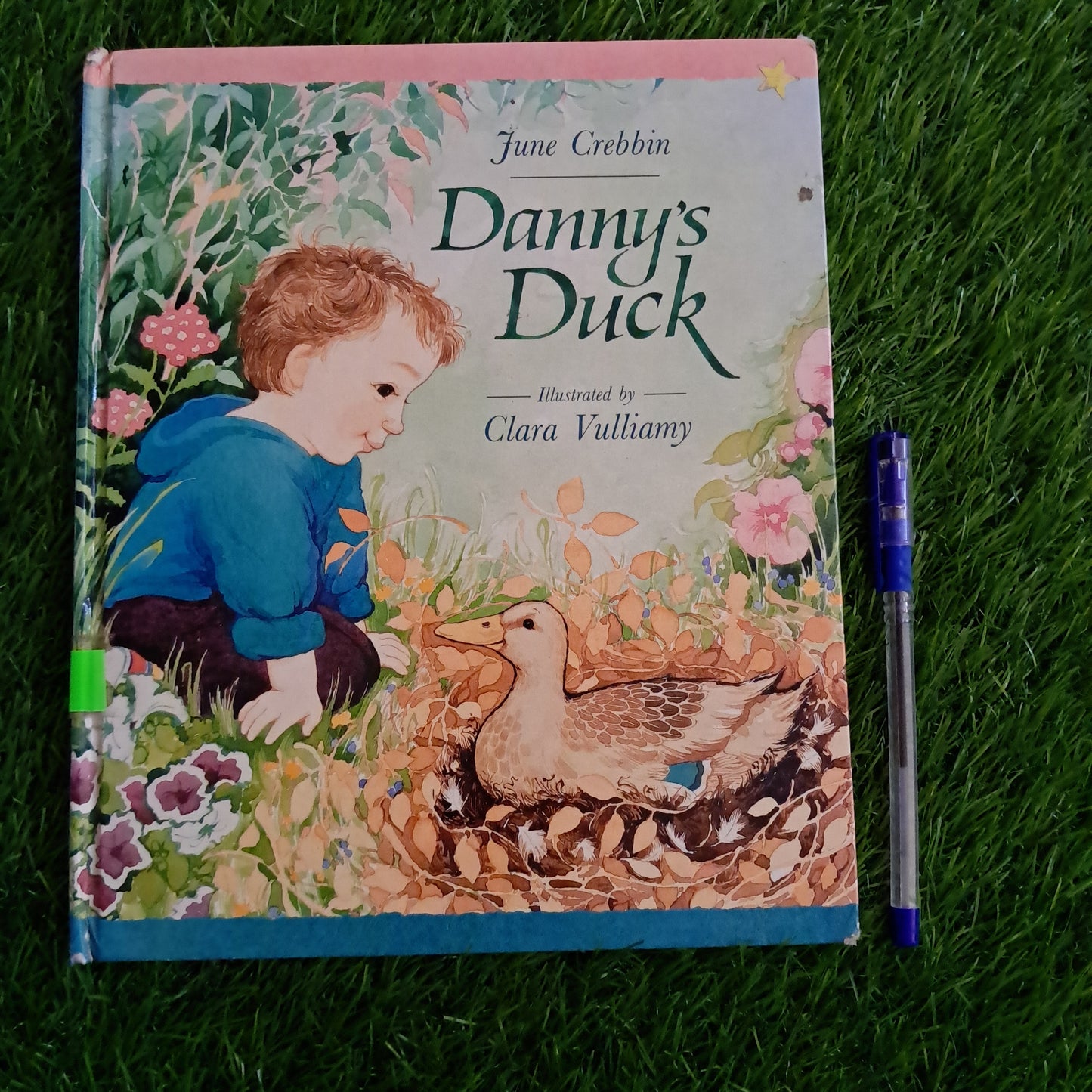 Danny's Duck