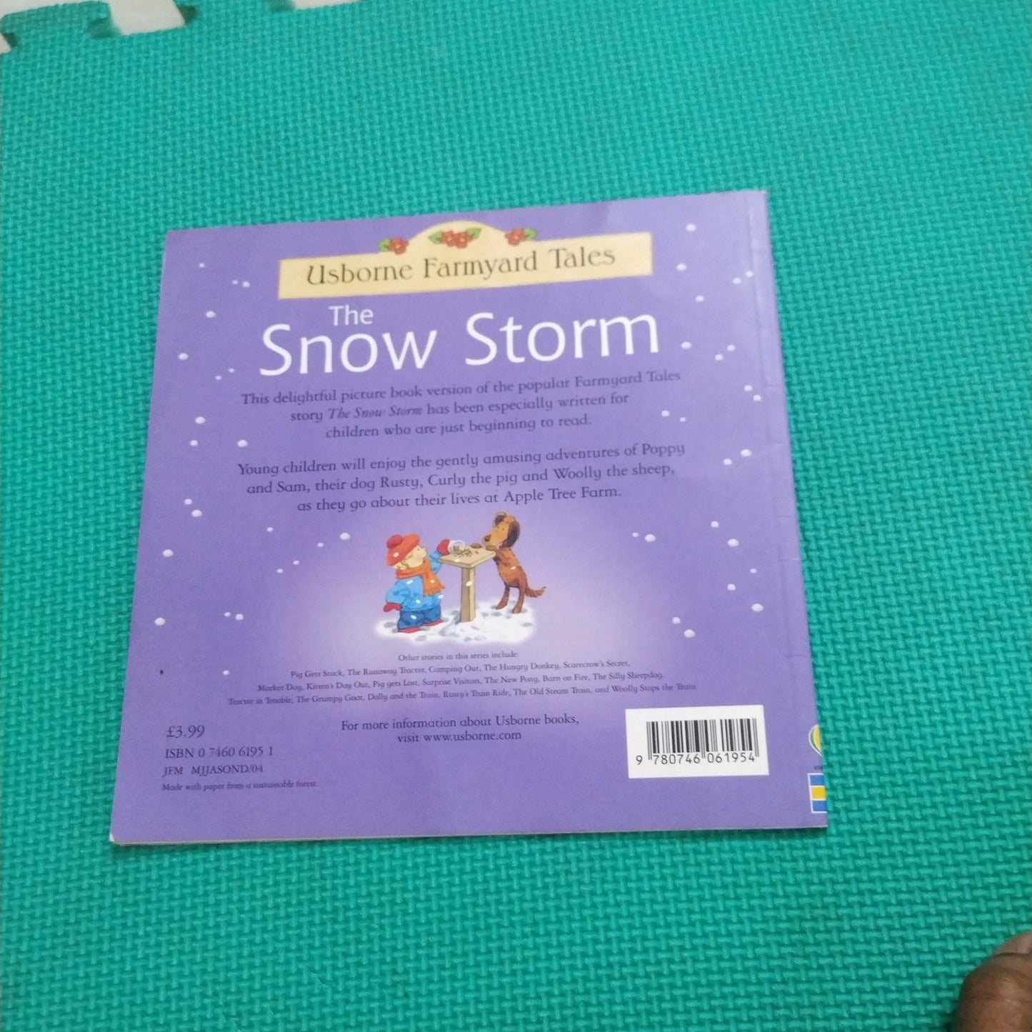 The Snow Storm