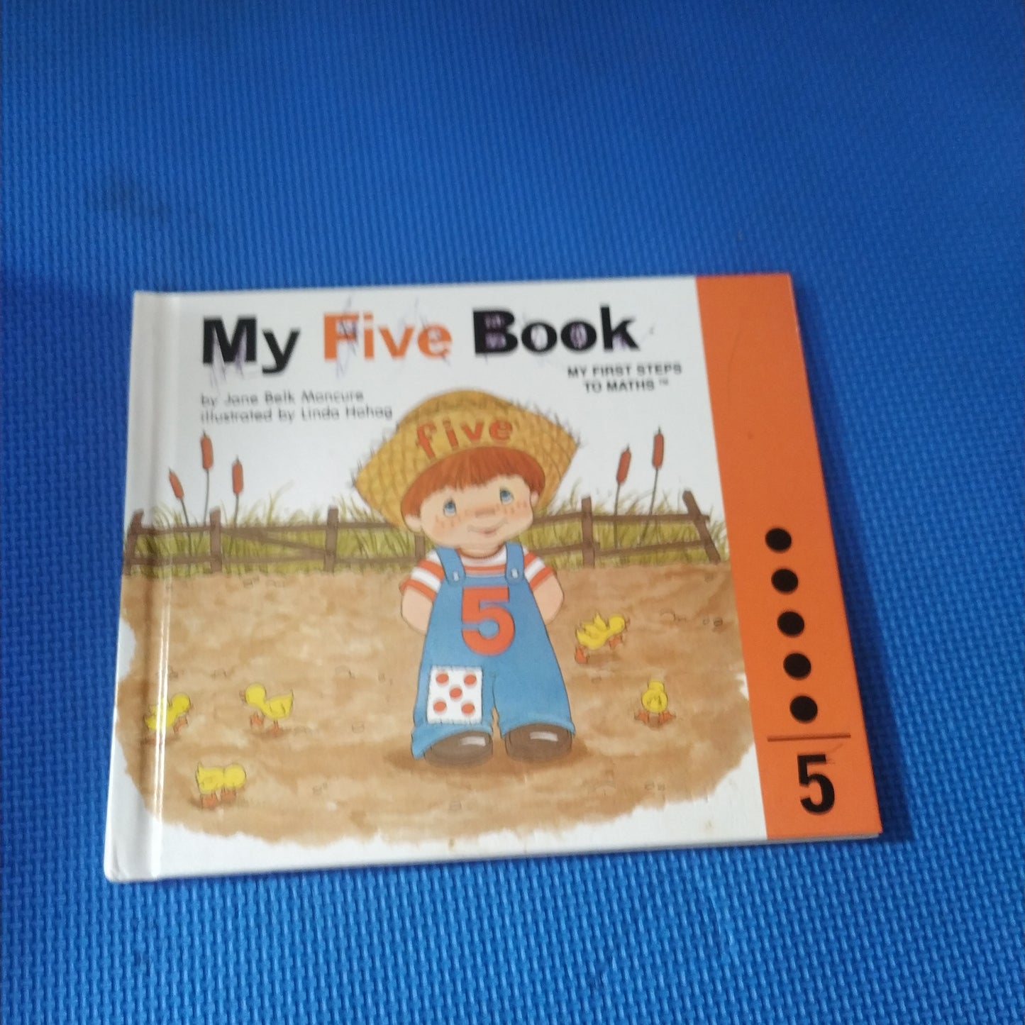 MY Five Book