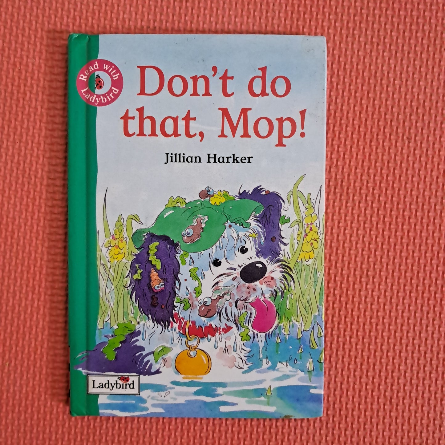 Don't do that , Mop !