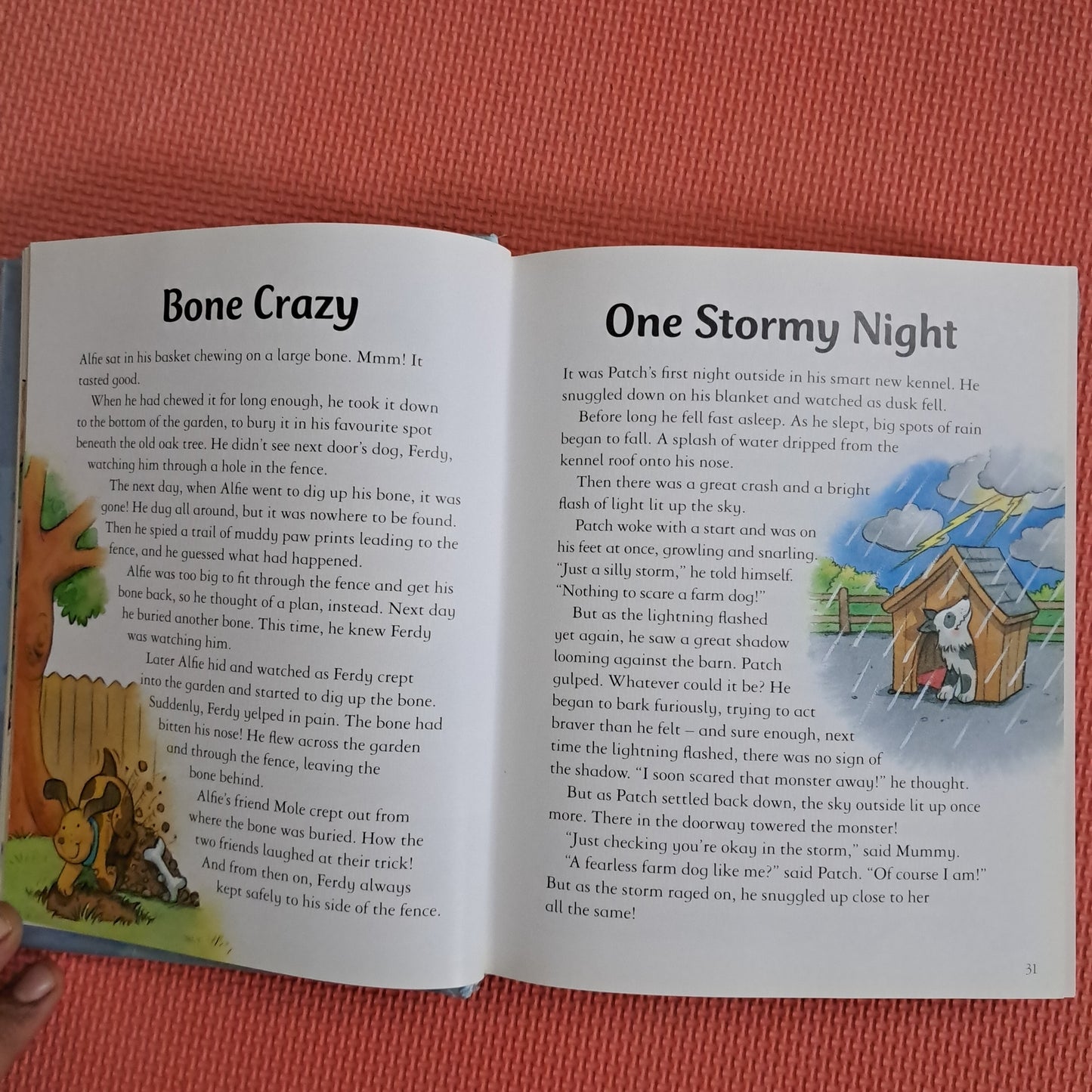A Story a Day 365 stories and Rhymes for boys