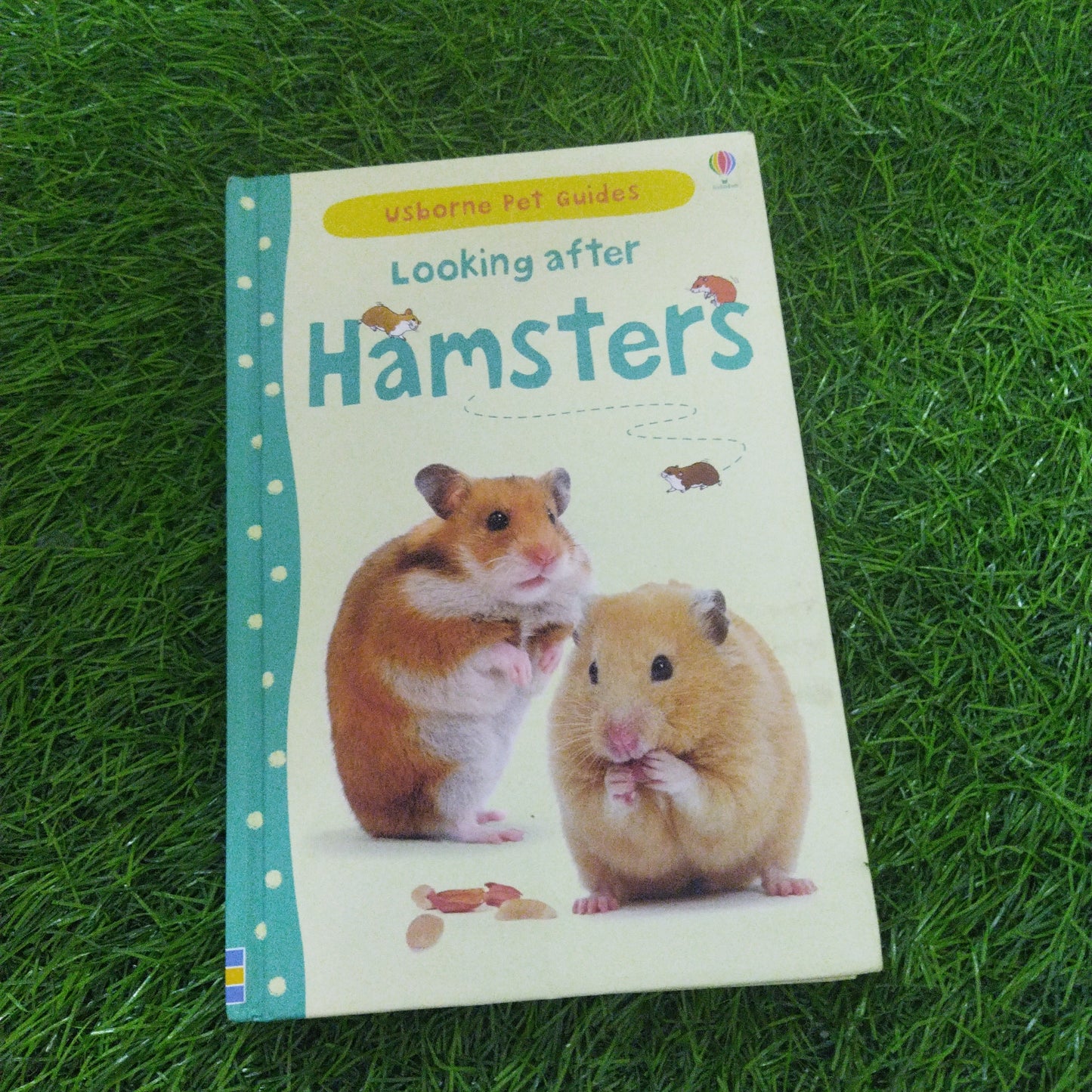 Usborne pet guides looking after Hamsters
