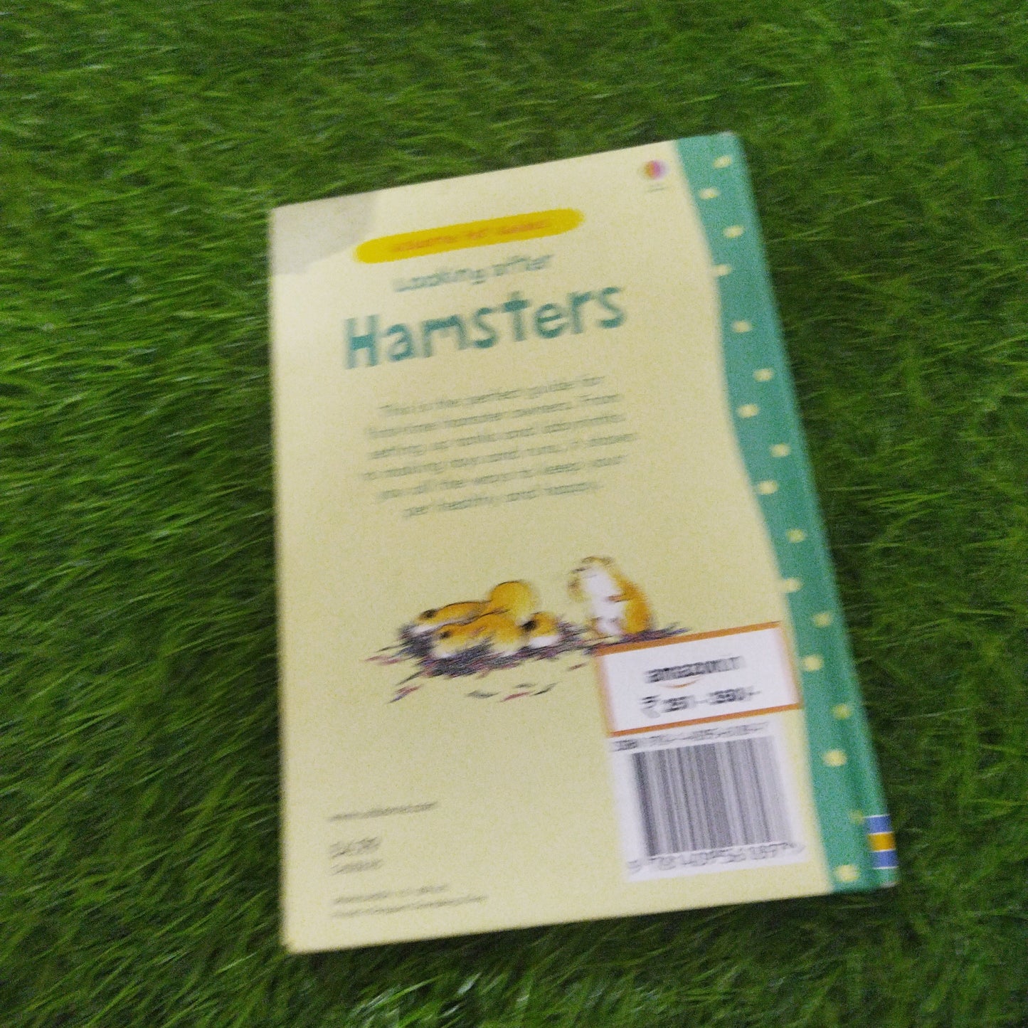 Usborne pet guides looking after Hamsters