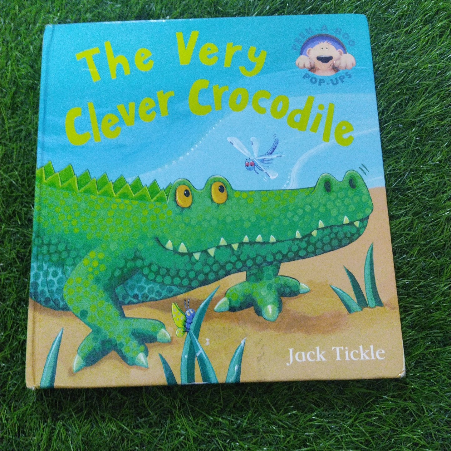 The Clever Crocodile Peek-A-Boo Pop - Ups