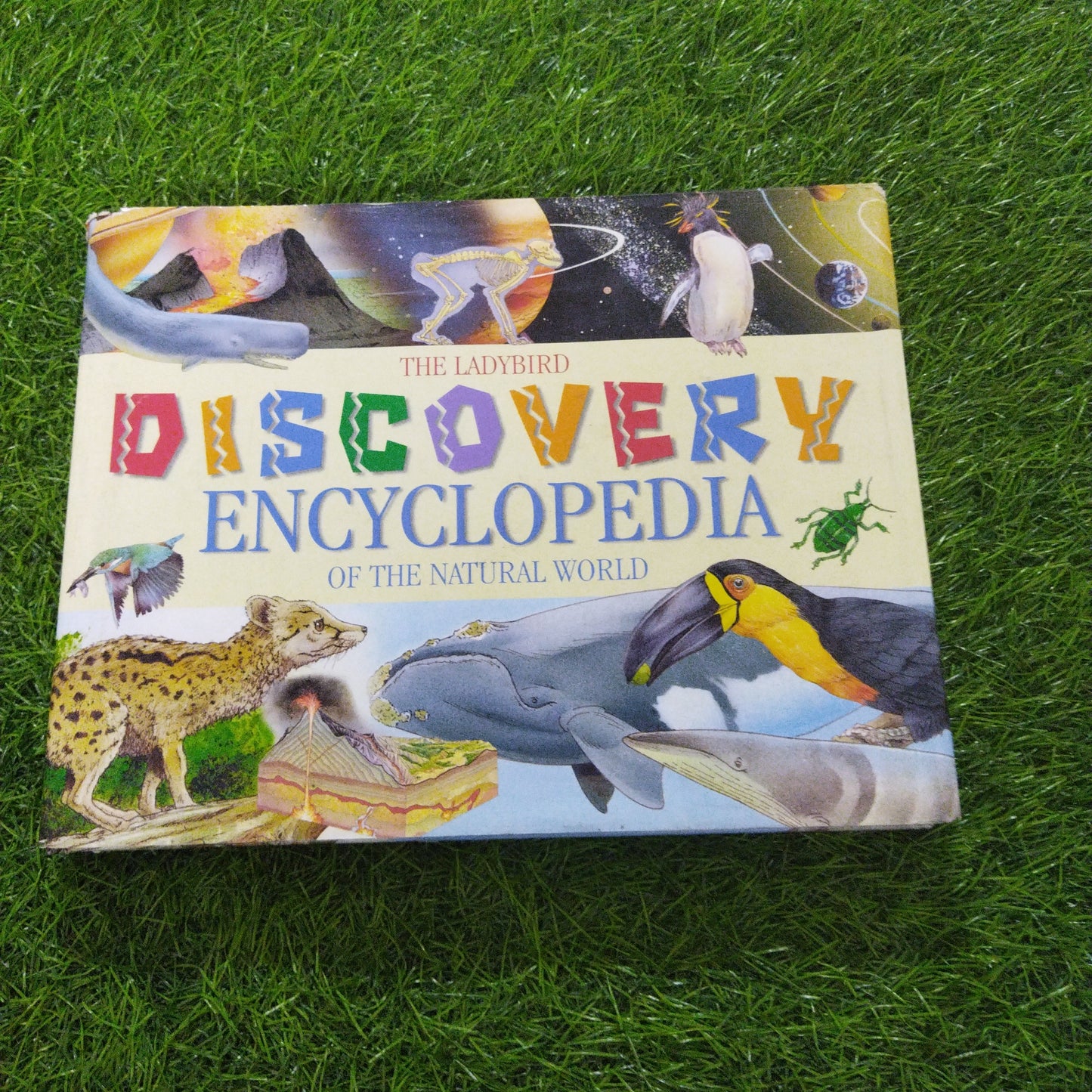 The Ladybird Discovery Encyclopedia of the Natural World