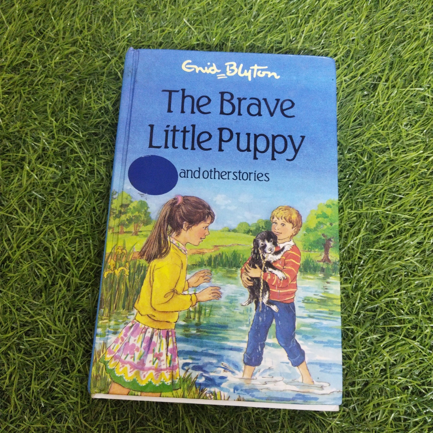 The Brave Little Puppy