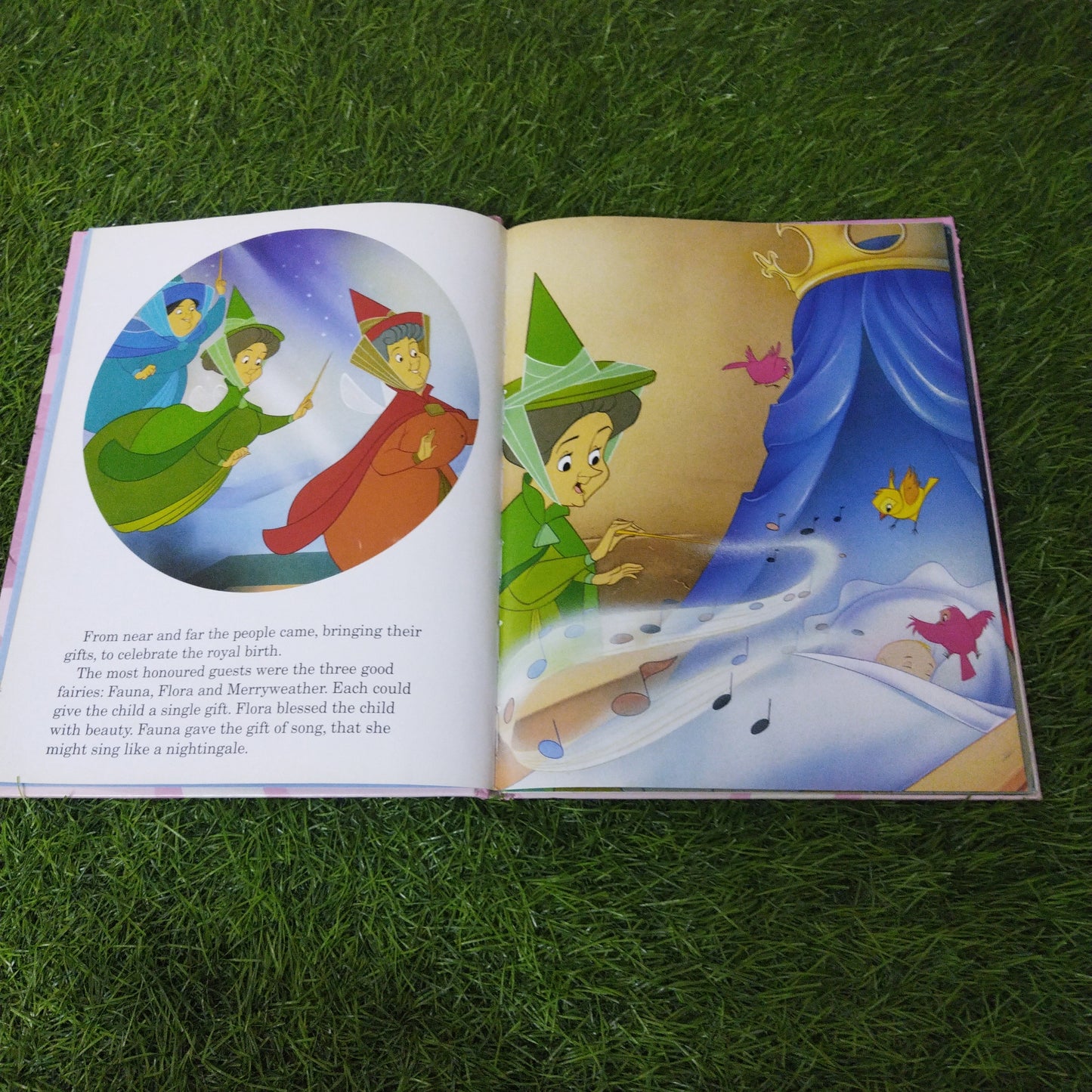 Disney Princess Sleeping Beauty read-along story