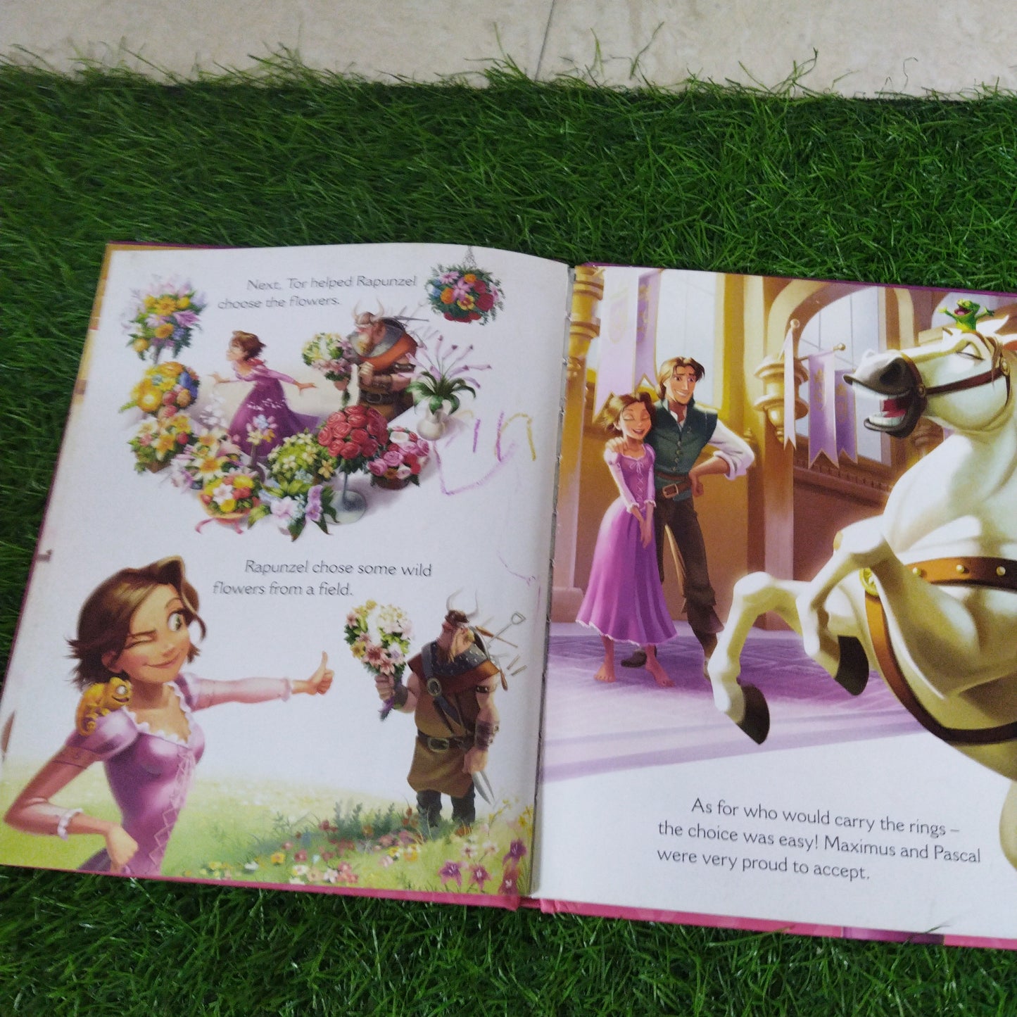 Disney Princess Tangled Ever After The Magical Story