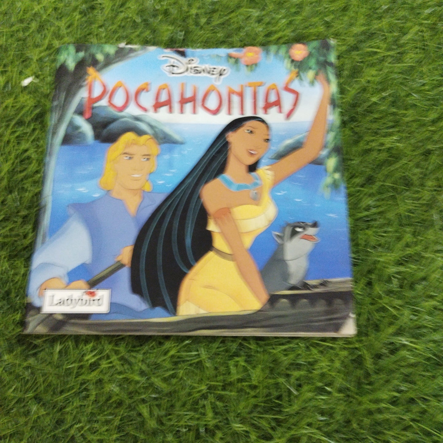 Disney Pocahontas