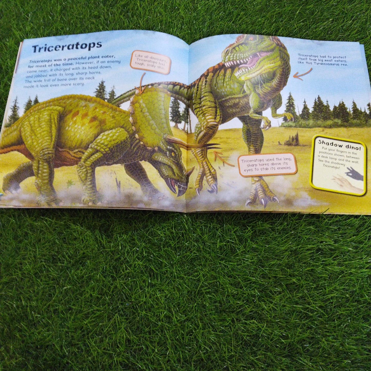 I Love Dinosaurs First Facts and Pictures