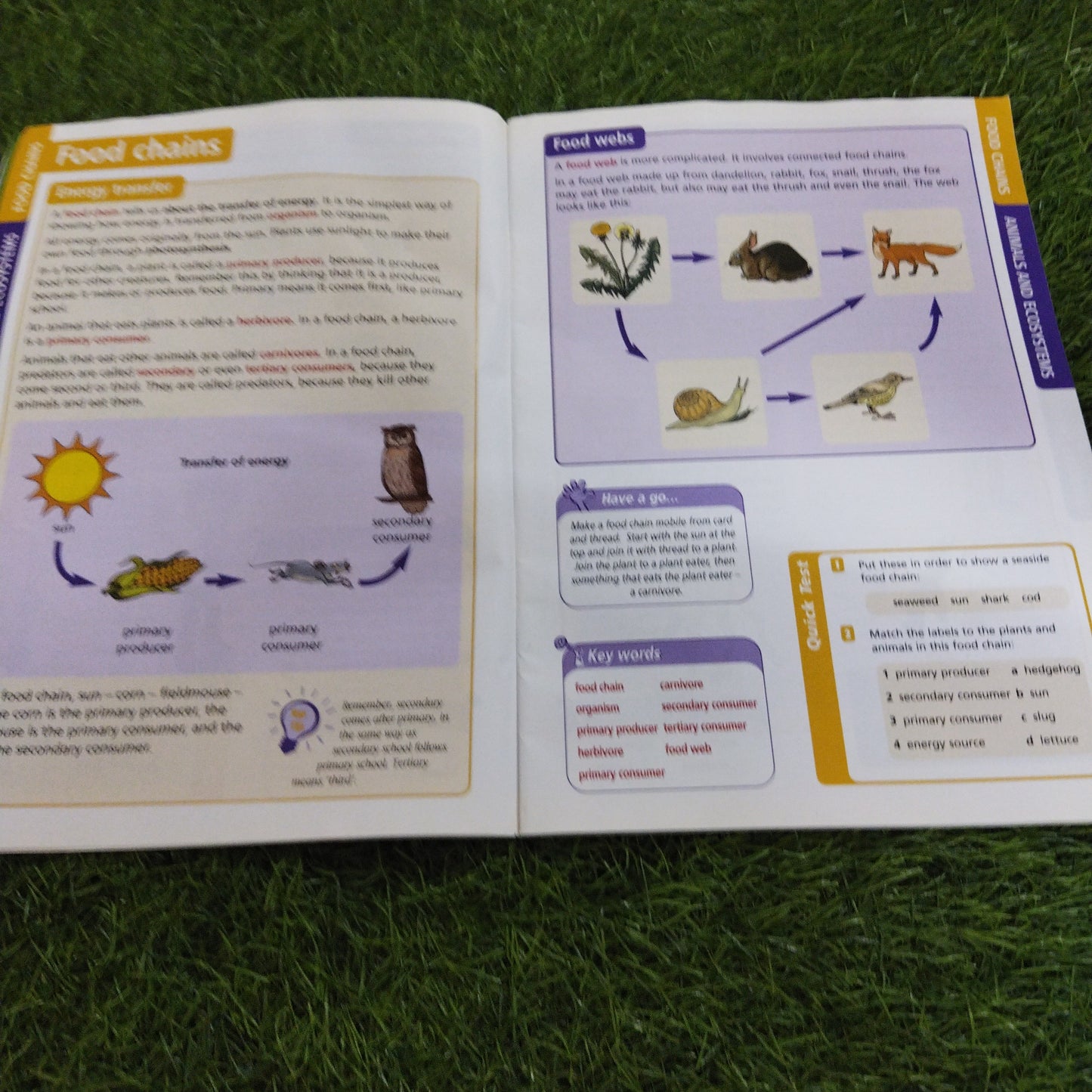 KS2 SUCCESS REVISION GUIDE  SCIENCE SATS