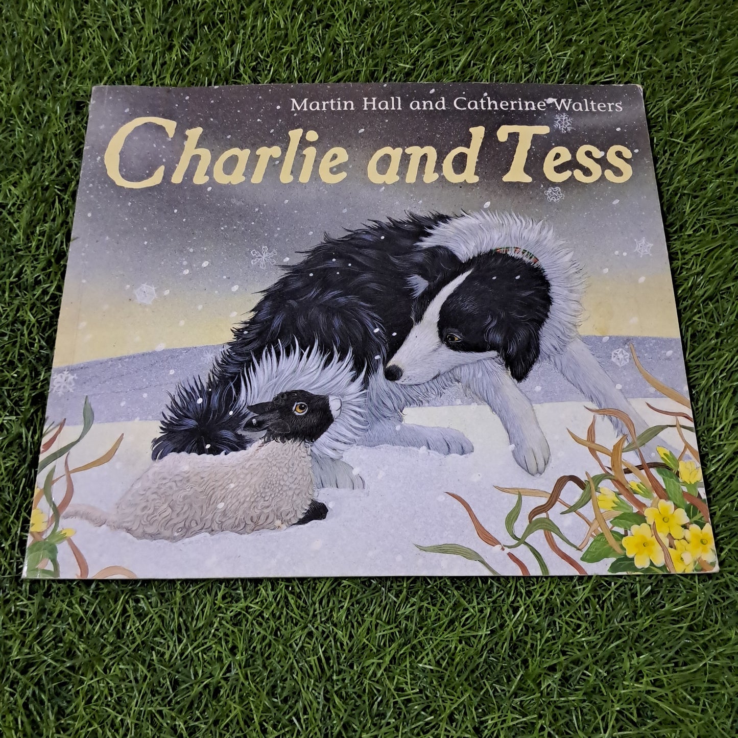 Charlie and Tess