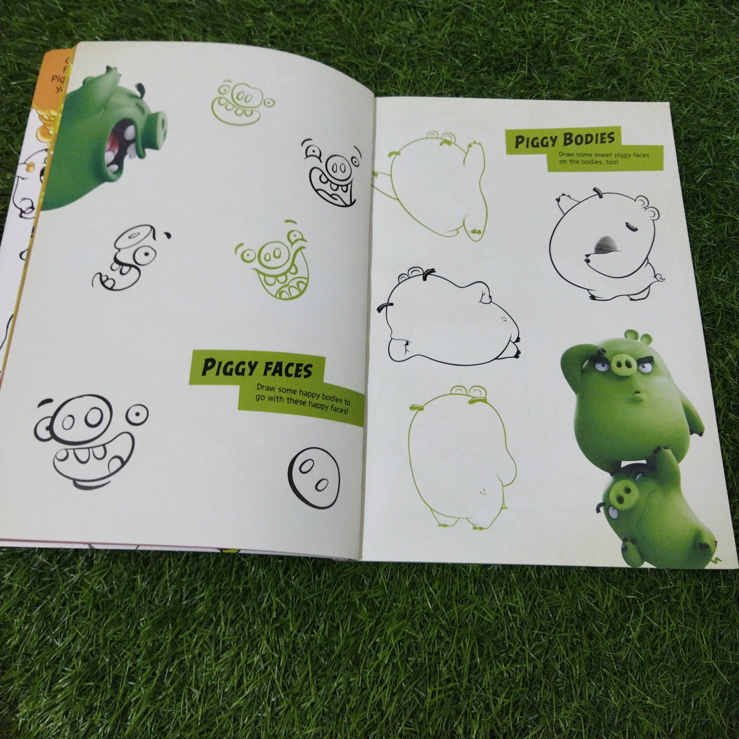 The Angry Birds Movie Activity Book