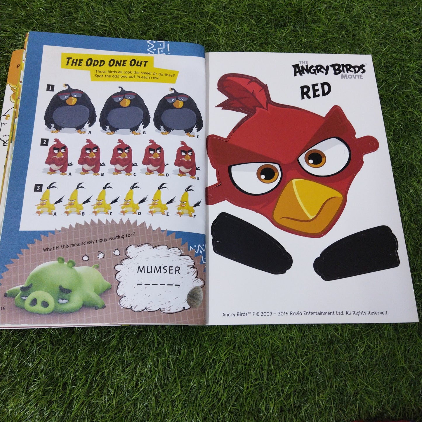 The Angry Birds Movie Activity Book