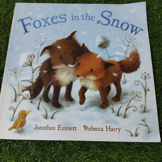 Foxes in the Snow