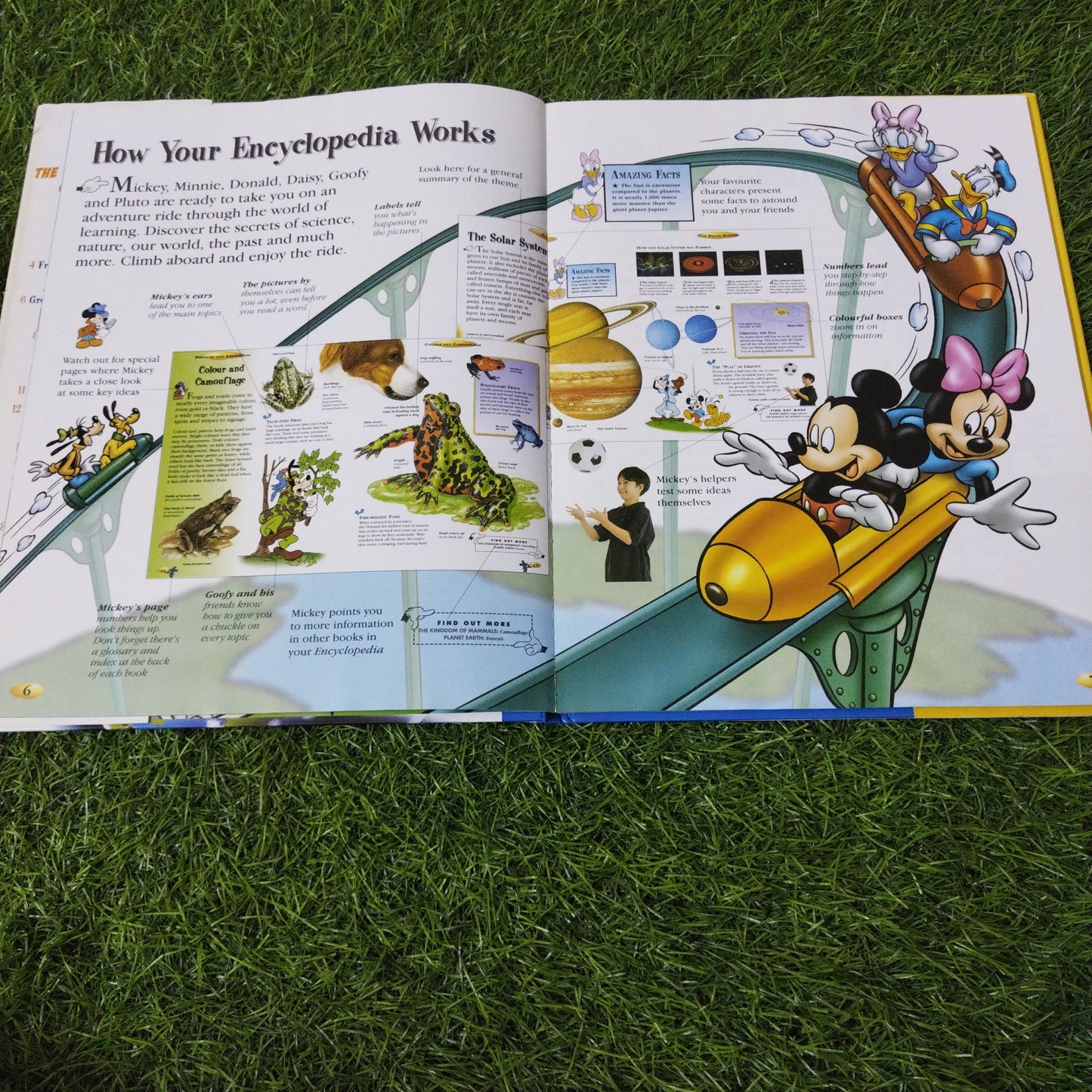 Disney The Wonderfull world of Knowledge Communications