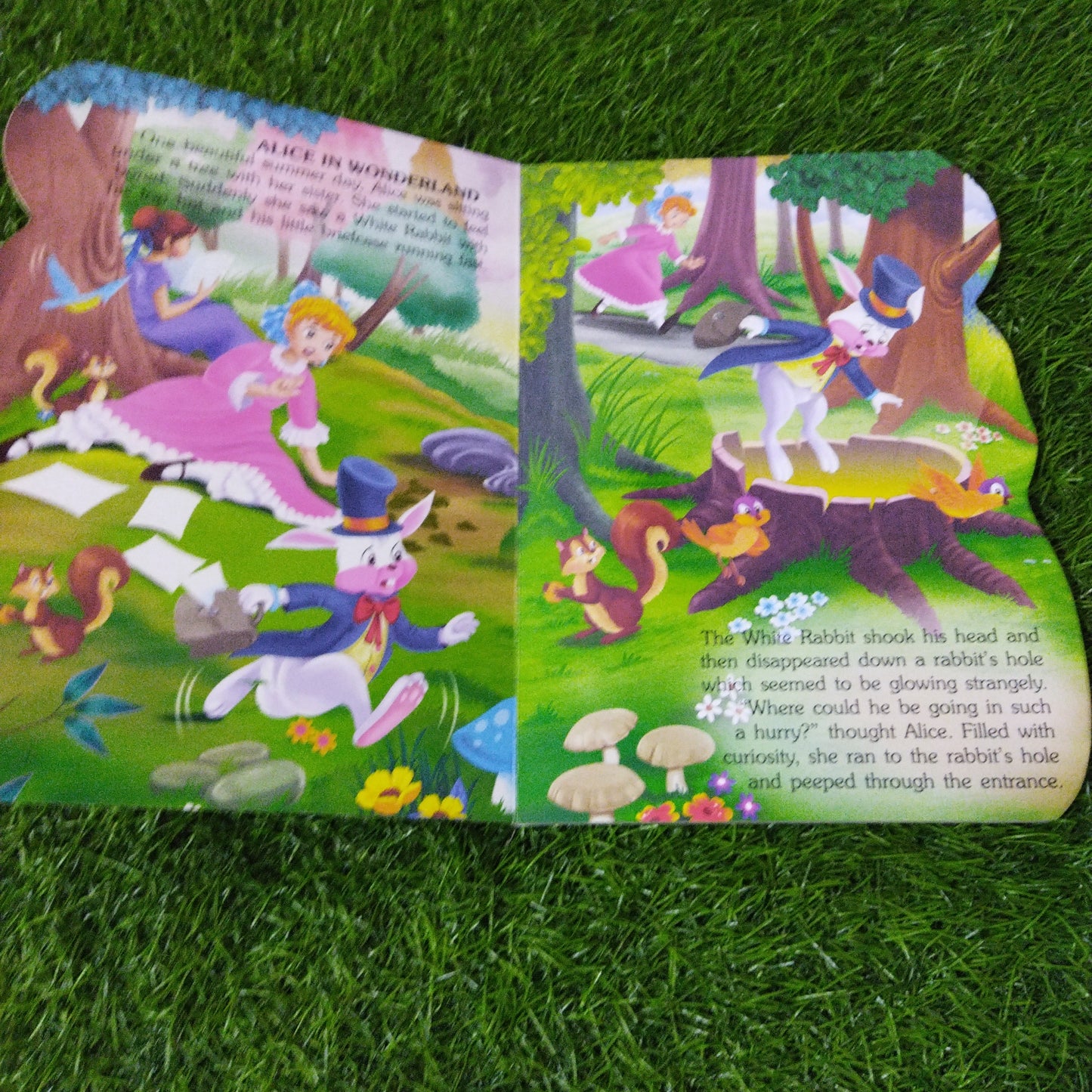 Wonderful Story Book Alice In Wonderland