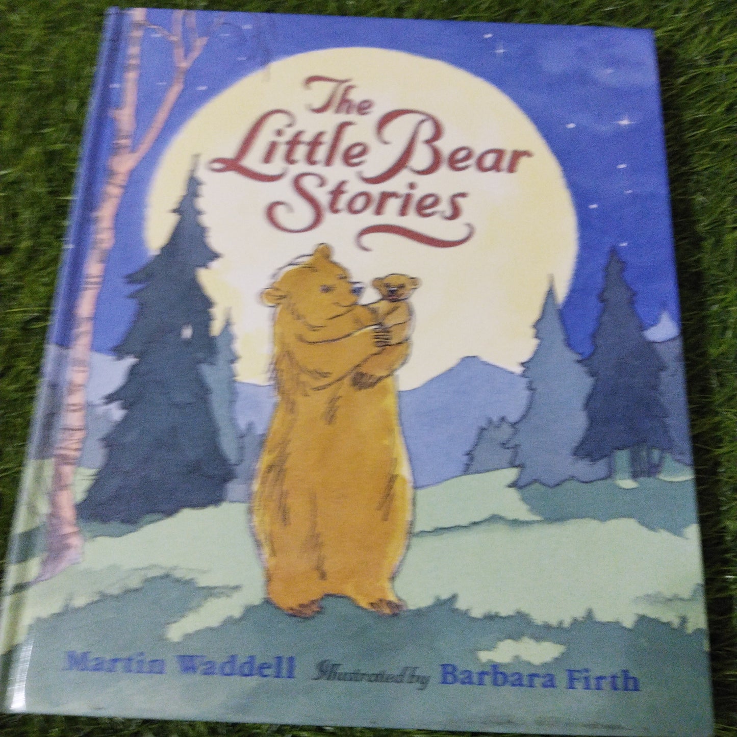 The Little Bear Stories