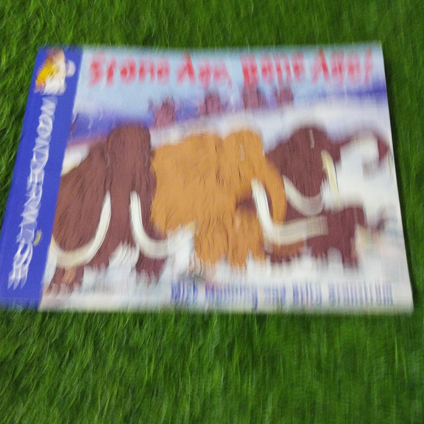 Stone Age , Bone Age !