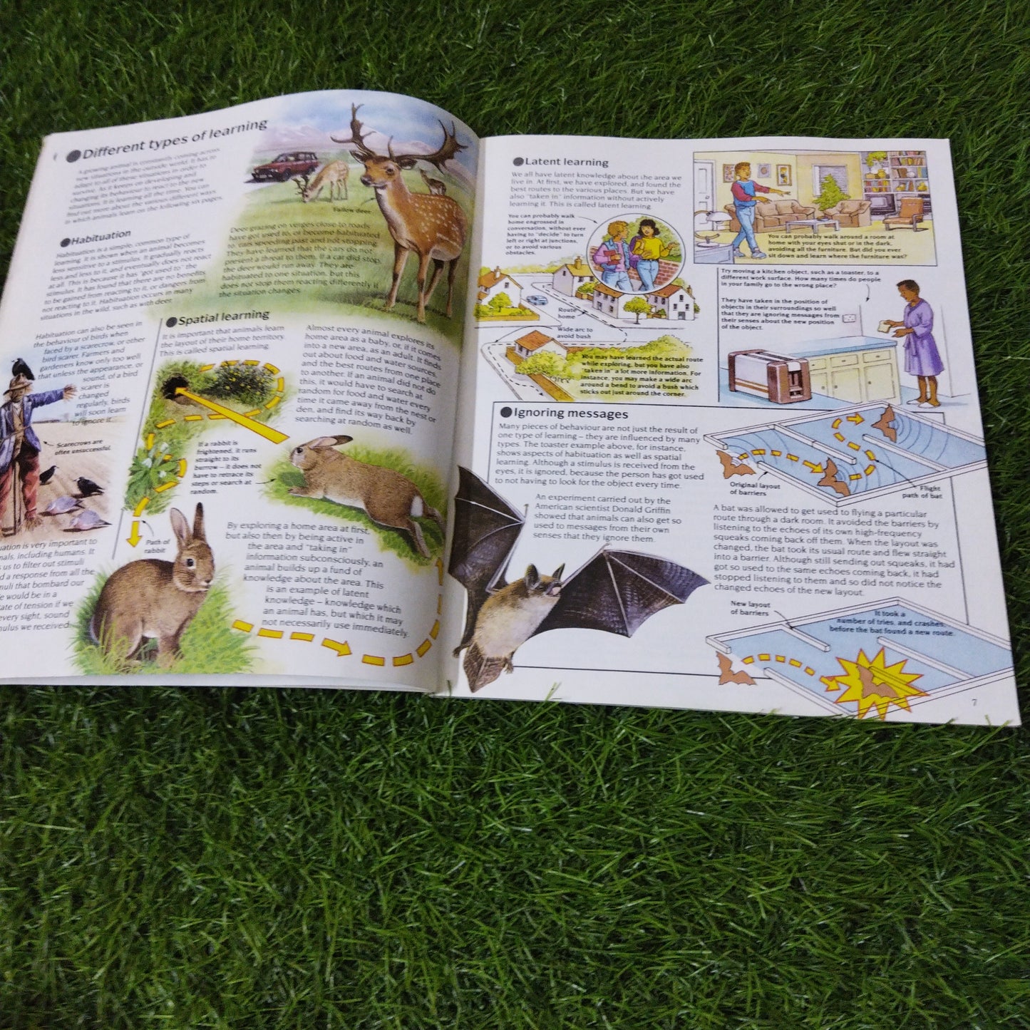 Usborne Science & Nature Animals Behaviour