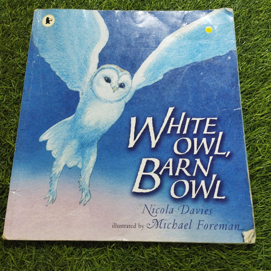 White Owl , Barn Owl