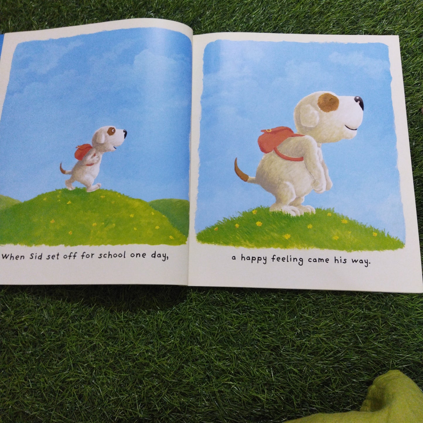 Some Dogs Do Story Book And DVD