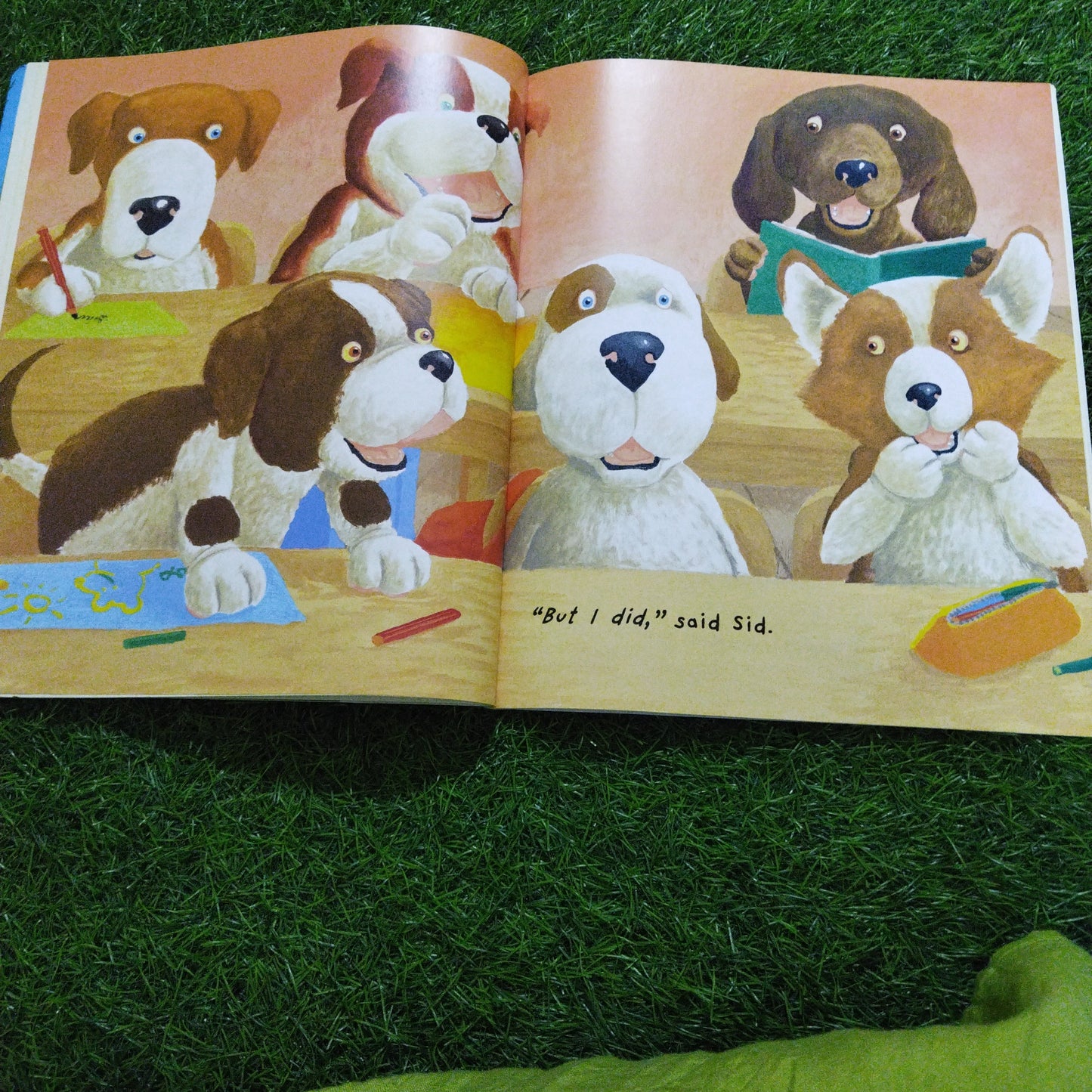 Some Dogs Do Story Book And DVD