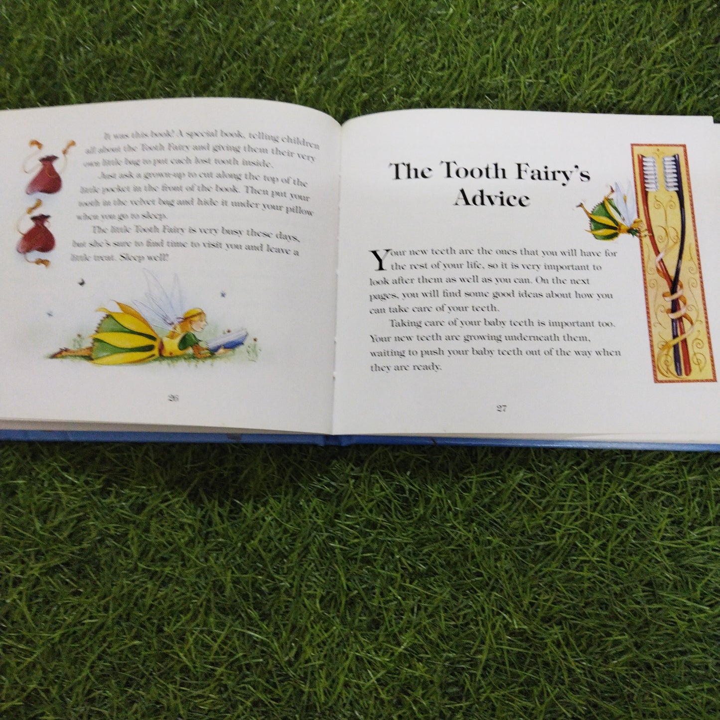 My Tooth Fairy Book