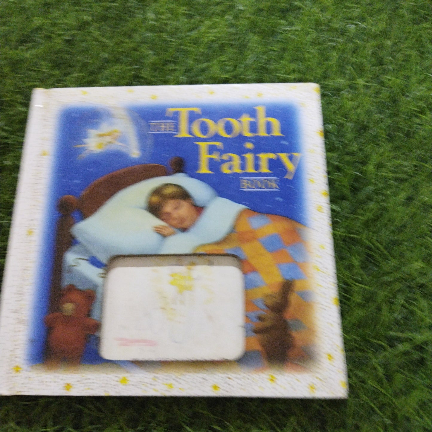 The Tooth Fairy Book