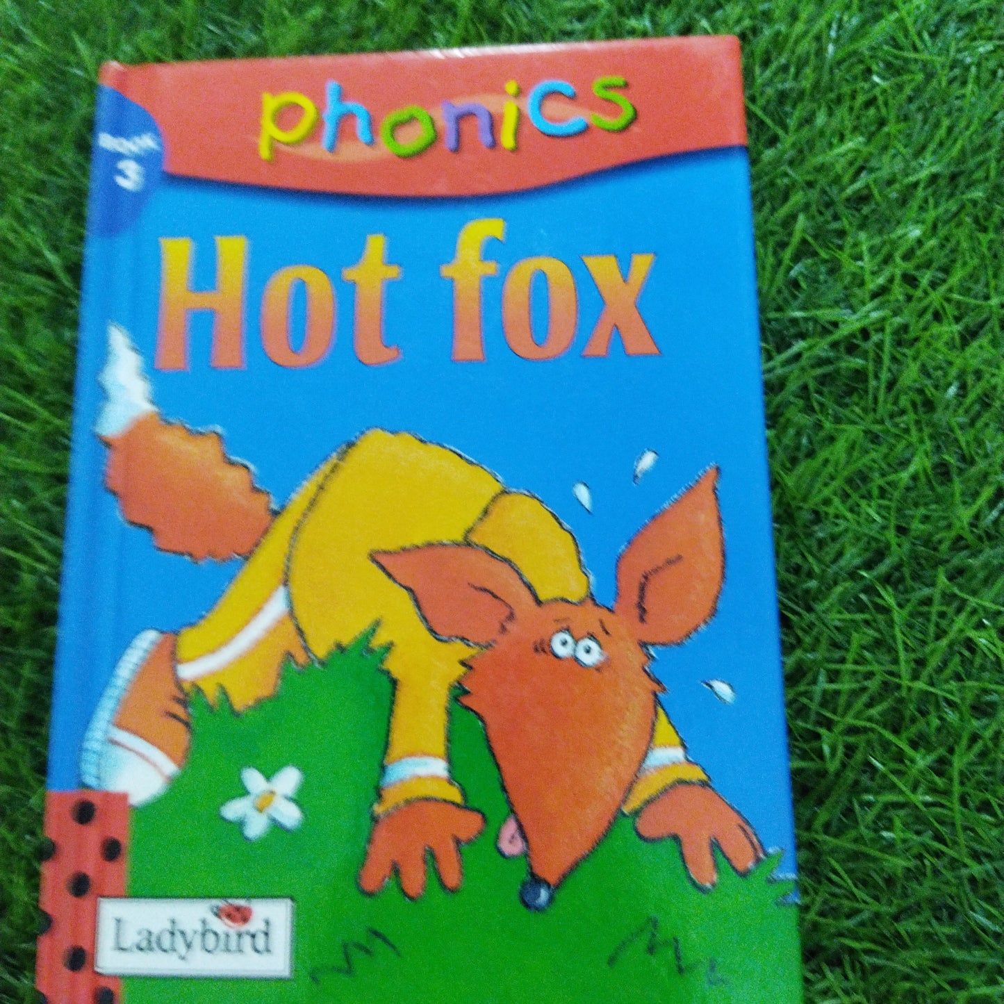 Phonics Hot Fox