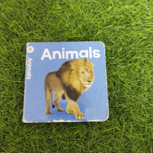 Animals