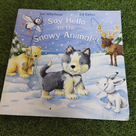 Say Hello to the Snowy Animals !