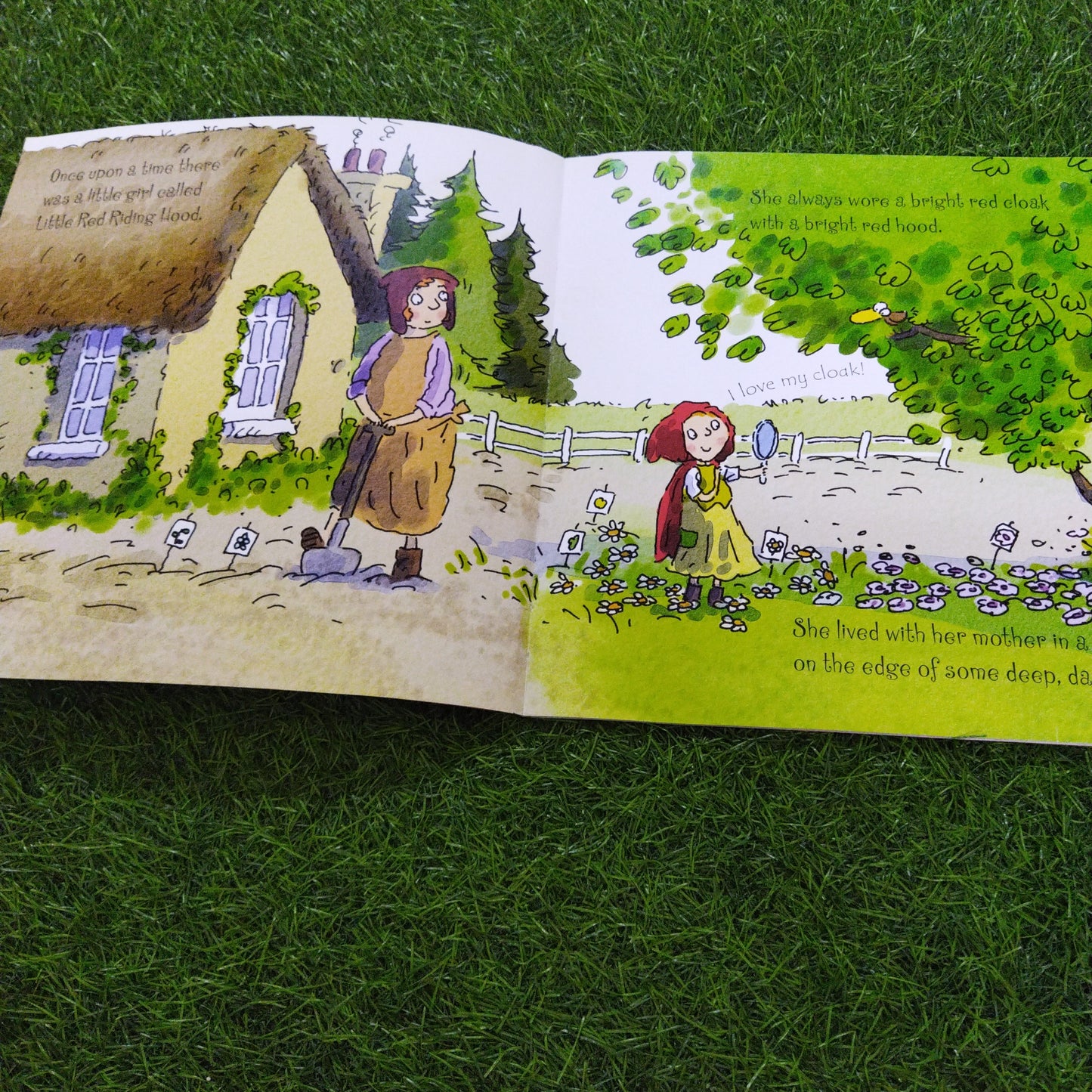 Usborne Picture Book Little Red Riding Hood