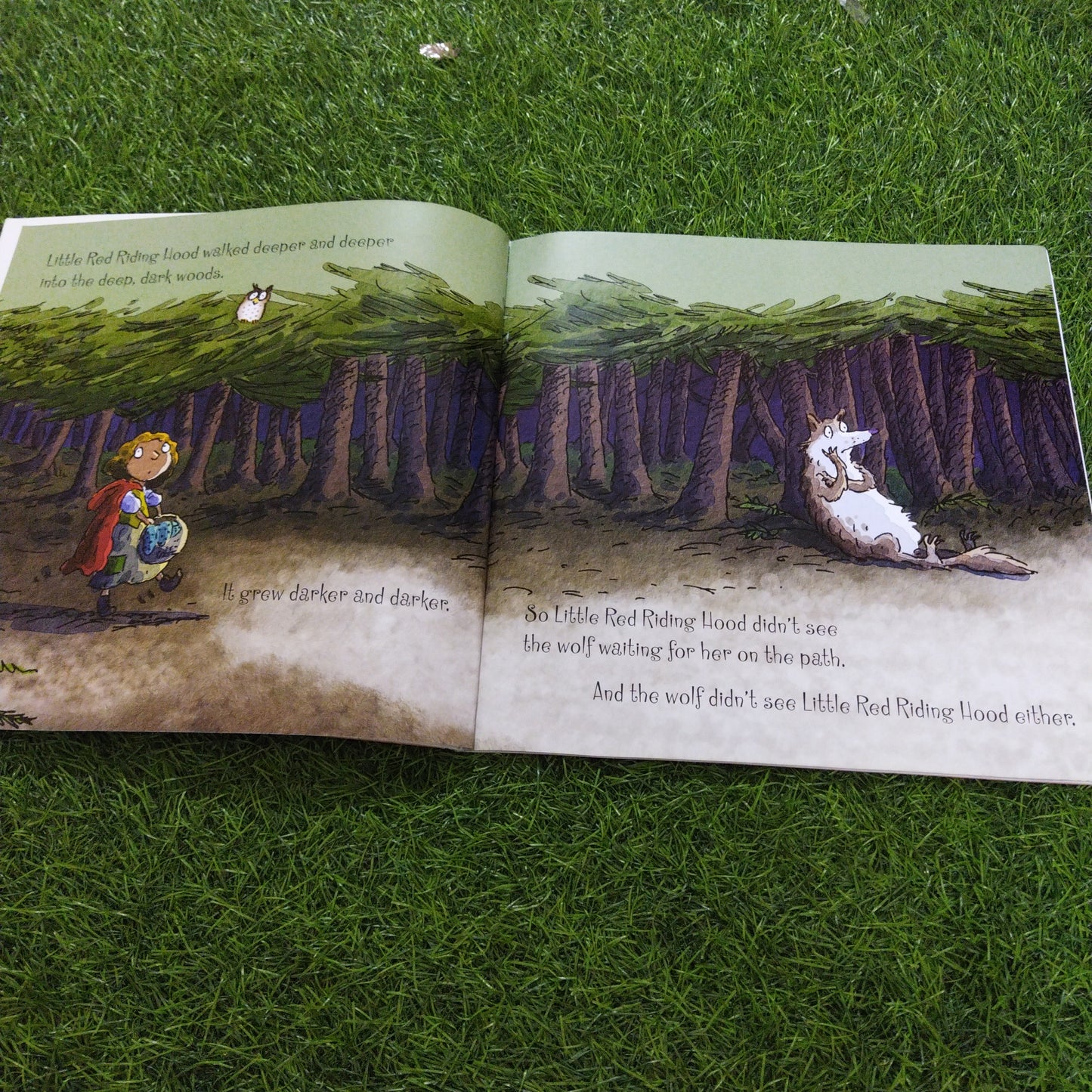 Usborne Picture Book Little Red Riding Hood