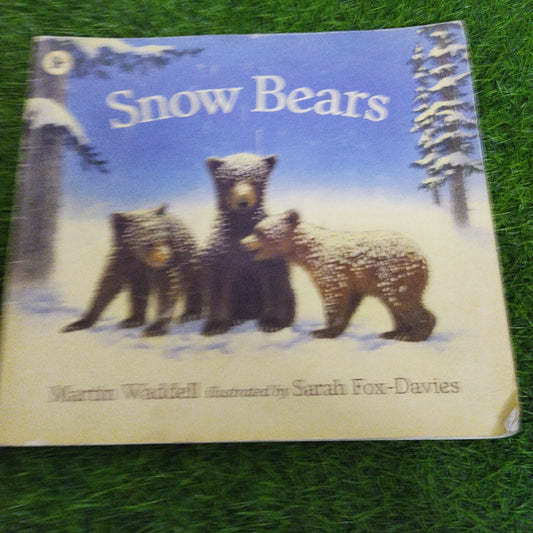 Snow Bears