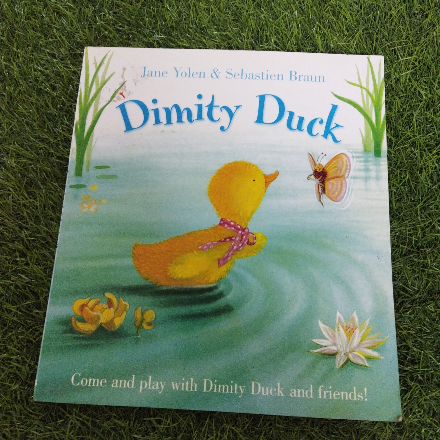 Dimity Duck