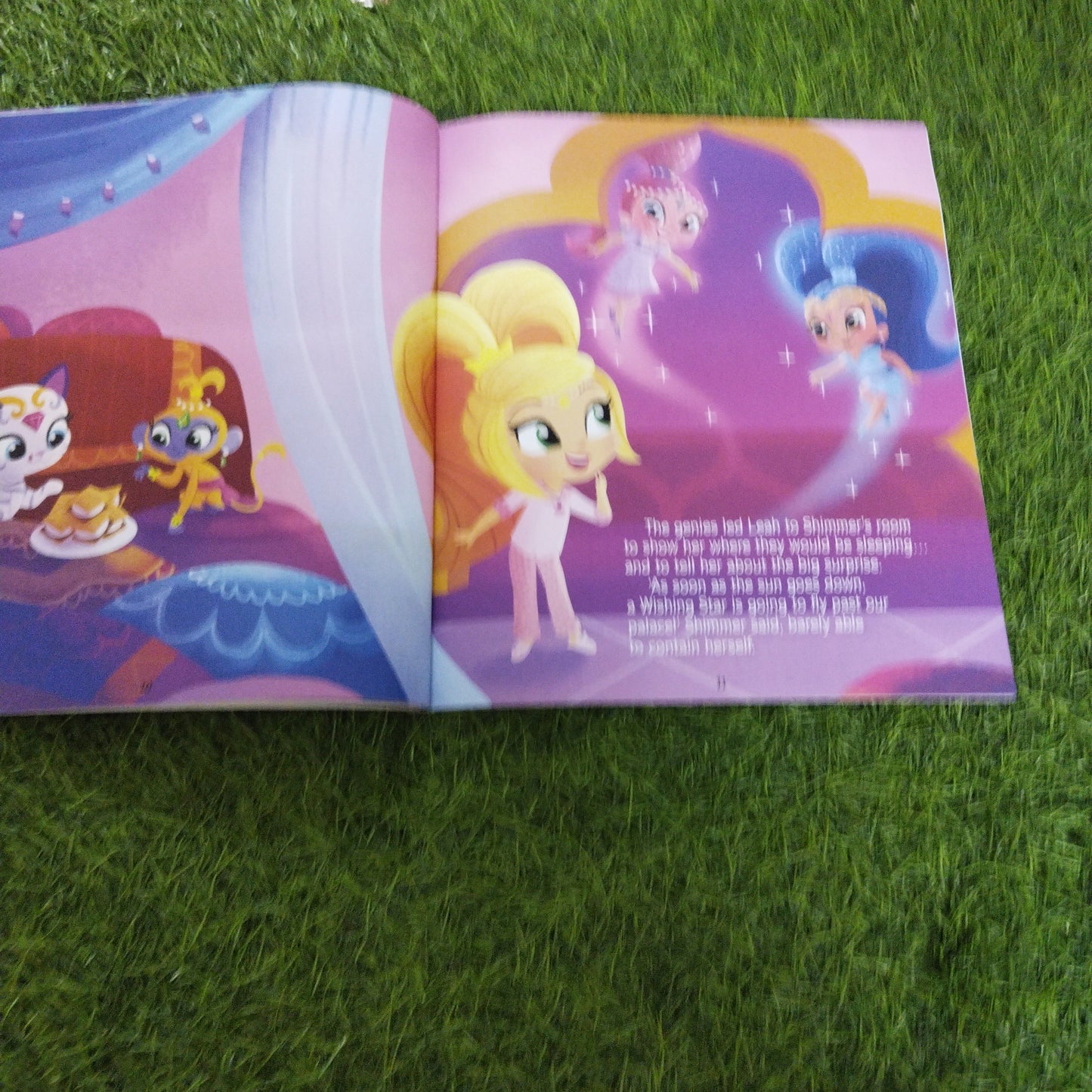 Nickelodeon Shimmer & shine  Catch a Wishing Star