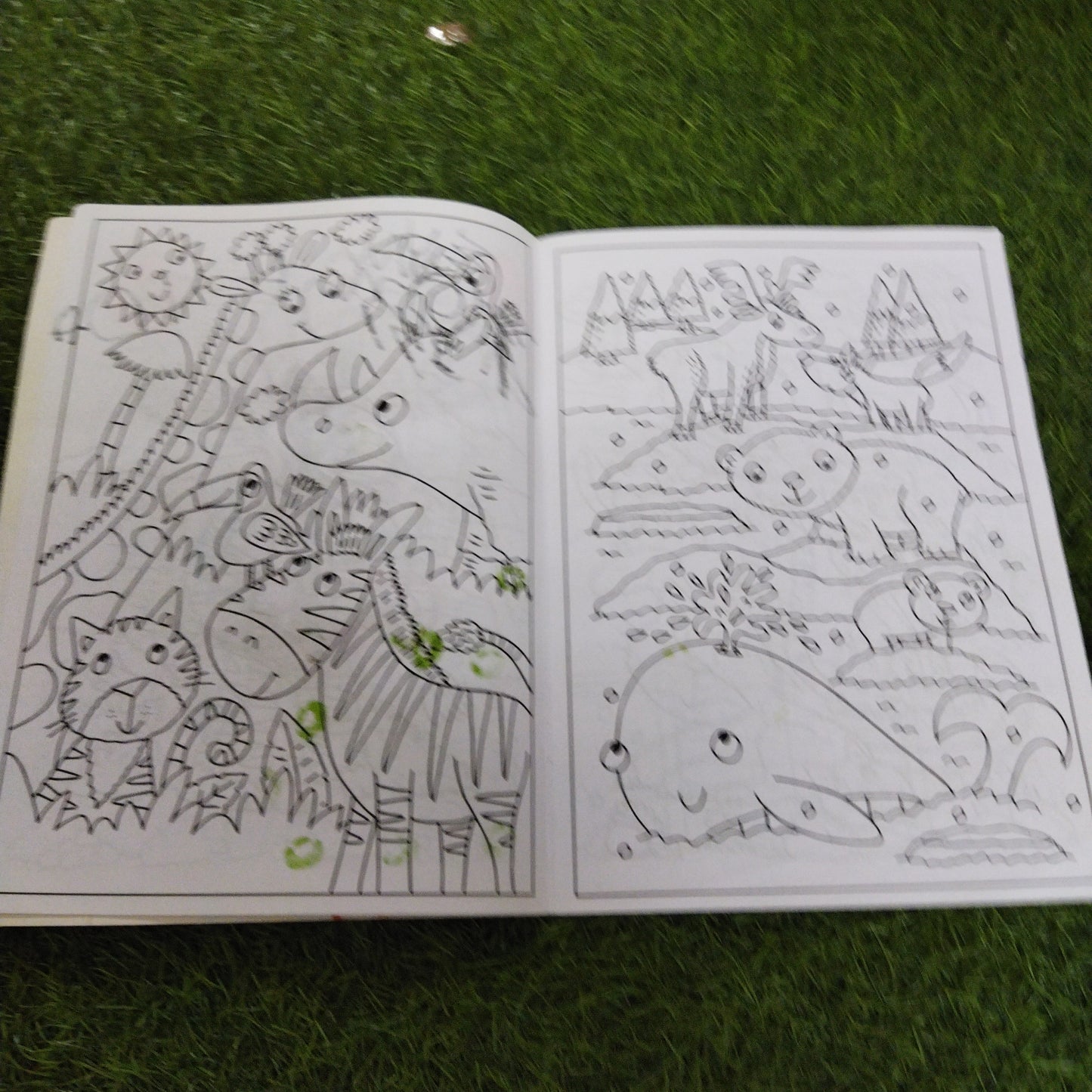 My ZOO Animals Colouring Book