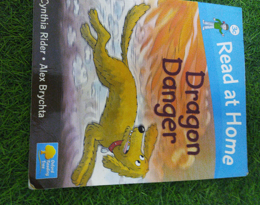 Read at Home Dragon Danger