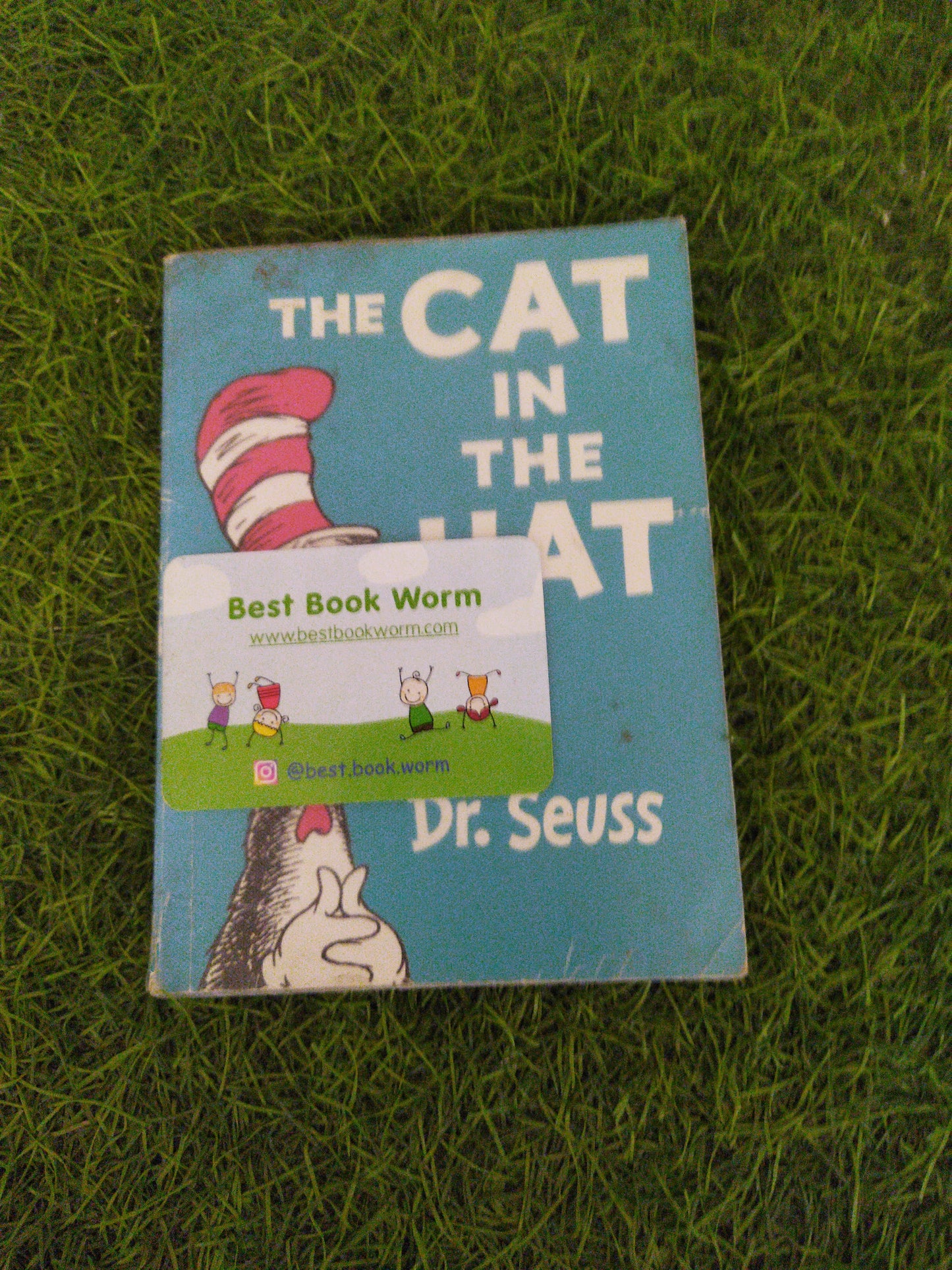The Cat In the Hat
