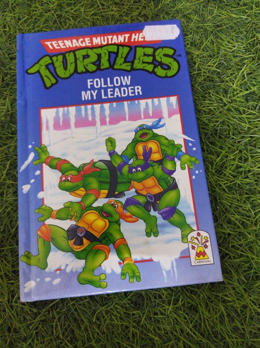 Turtles Follow My Leader