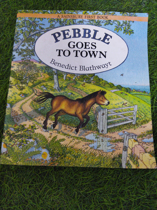 Pebble Goes To Town