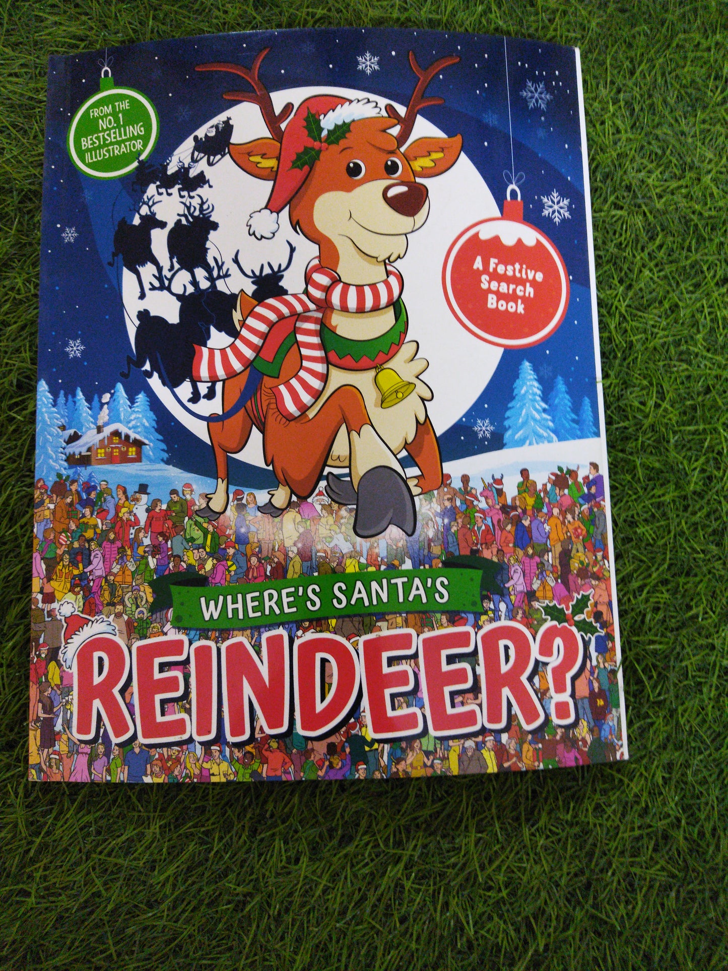Where's Santa's Reindeer ?